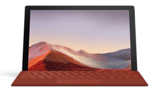 华亭清洁和维护 Surface